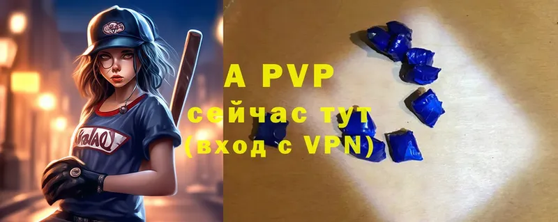 A PVP СК КРИС  Кингисепп 